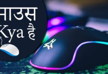 mouse-in-hindi