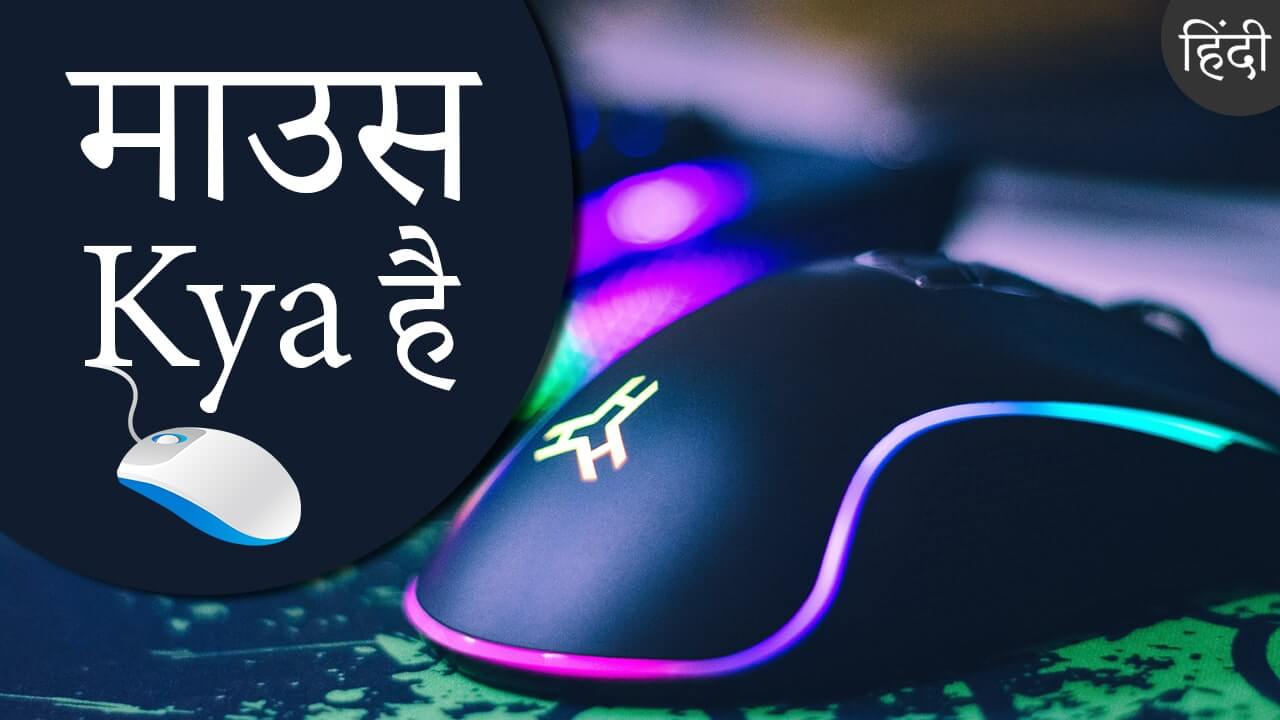 mouse-in-hindi