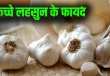 Garlic Benefits in hindi