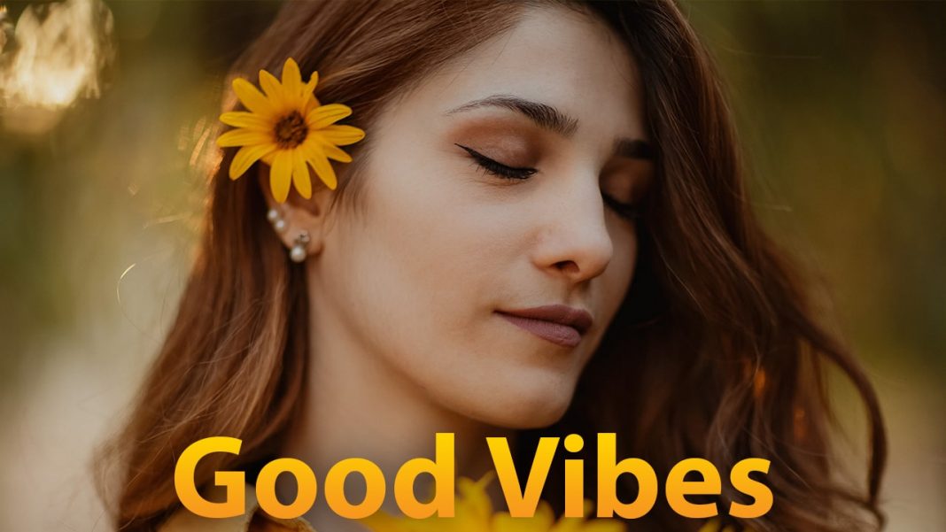 High Tides Good Vibes Meaning In Hindi